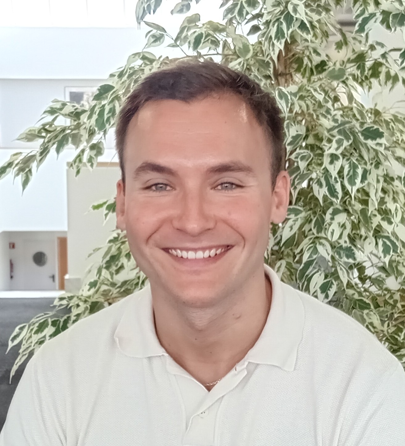 Ander Iguiñiz, Consultoría